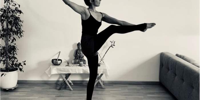 Cours de Ydance