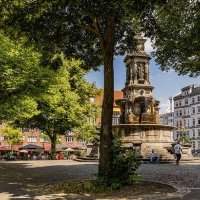 Balade découverte et discussion